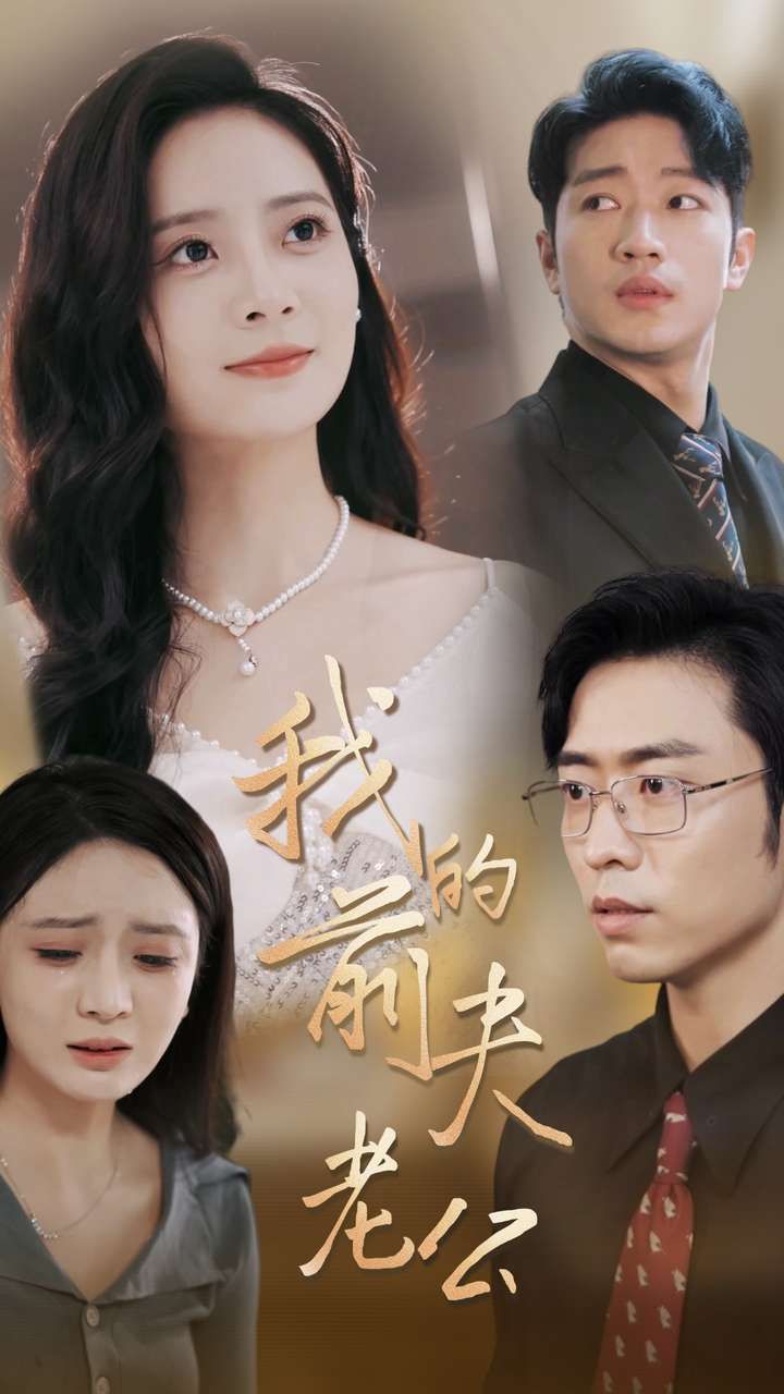 我的前夫老公第04集