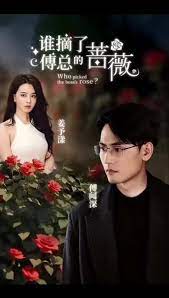 谁摘了傅总的蔷薇第03集