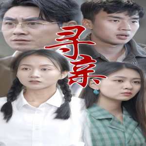 寻亲 短剧版(大结局)